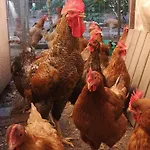 2pokojowy 4-5osobowy *